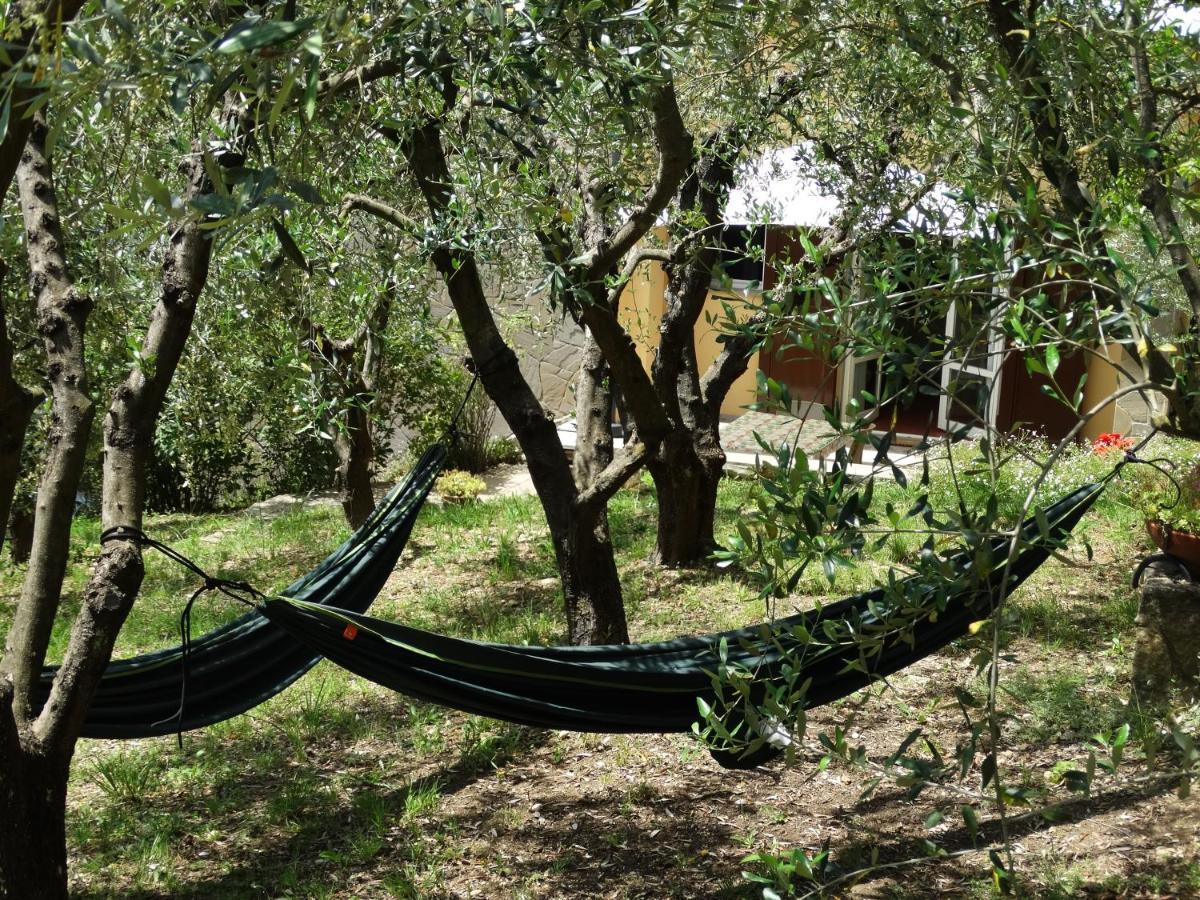 Poggio House, Tranquillita E Comfort Nella Natura San Casciano in Val di Pesa Exterior photo