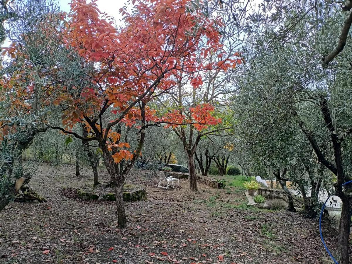 Poggio House, Tranquillita E Comfort Nella Natura San Casciano in Val di Pesa Exterior photo